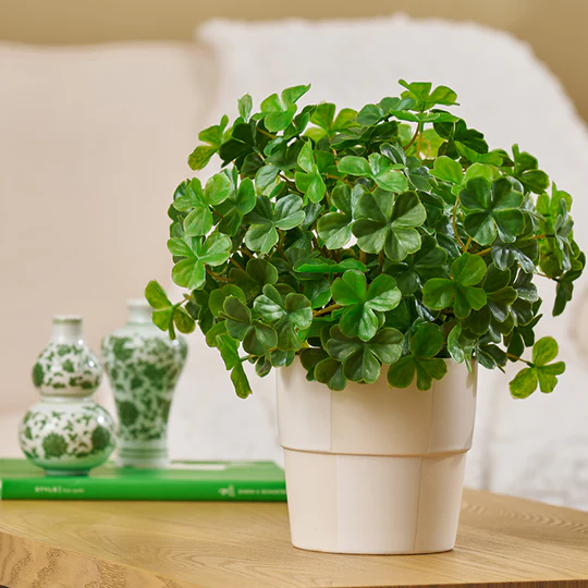 Welcome to Our Store